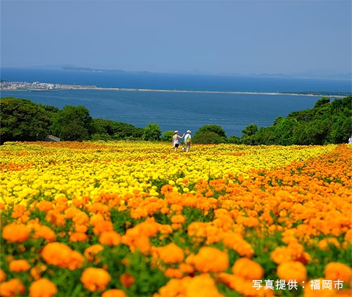 のこのしまアイランドパーク